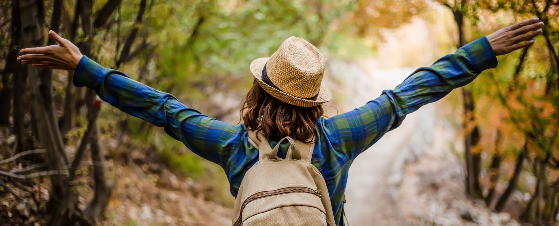 person walking on bush track