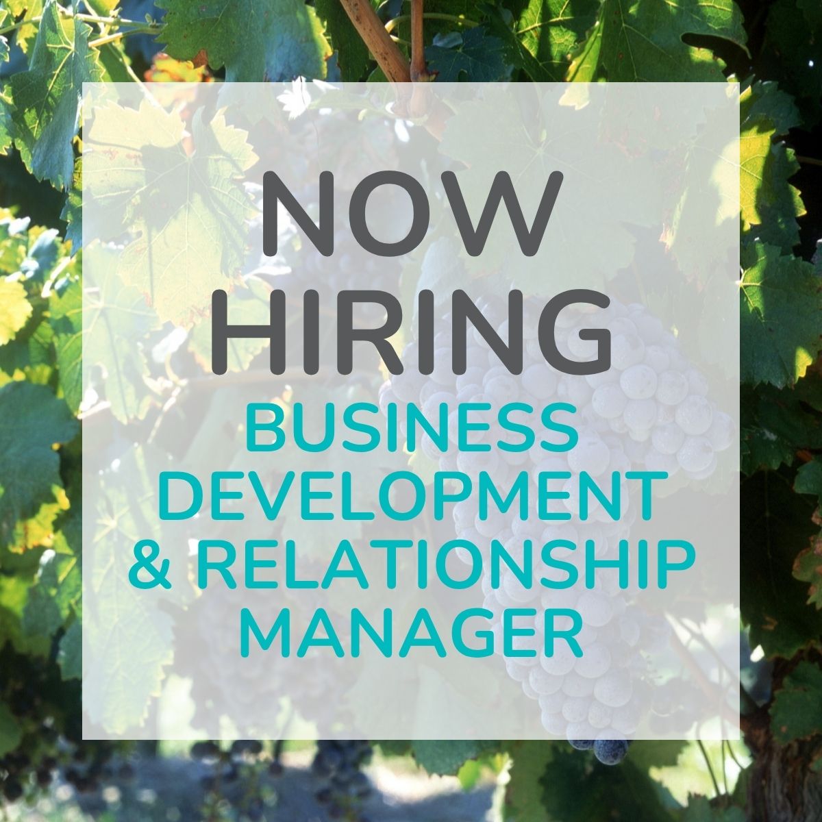 now hiring business development and relationship manager
